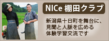 NICe棚田クラブ